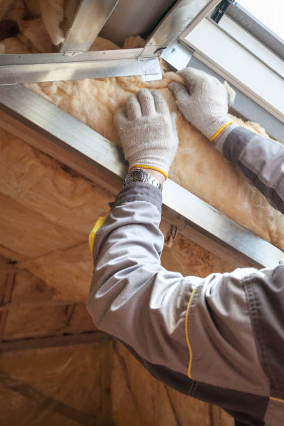 Best Insulation for Specific Applications in Bell Nyon, CA